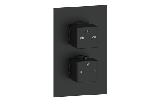 Annas Thermostatic Two Outlet Twin Shower Valve - Matt Black