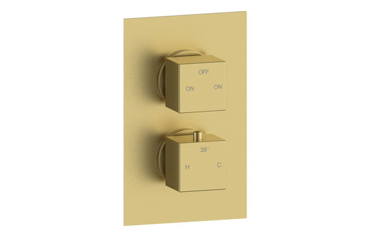 Annas Thermostatic Two Outlet Twin Shower Valve - Brushed Brass